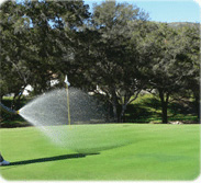 Magnum Spray Fan Green
